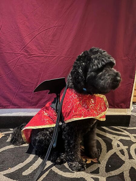 File:475276129 1513139276740606 6864965831722897764 n.jpg