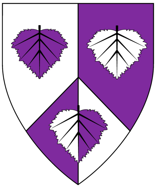 File:Disa Device .png