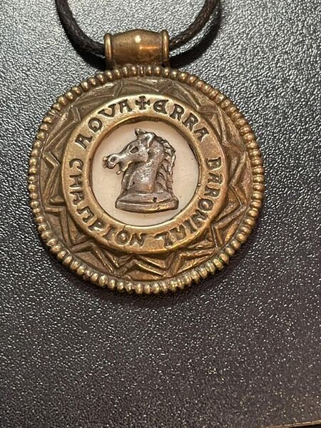 File:Aquaterra Games Champion medallion - Michelino.jpg